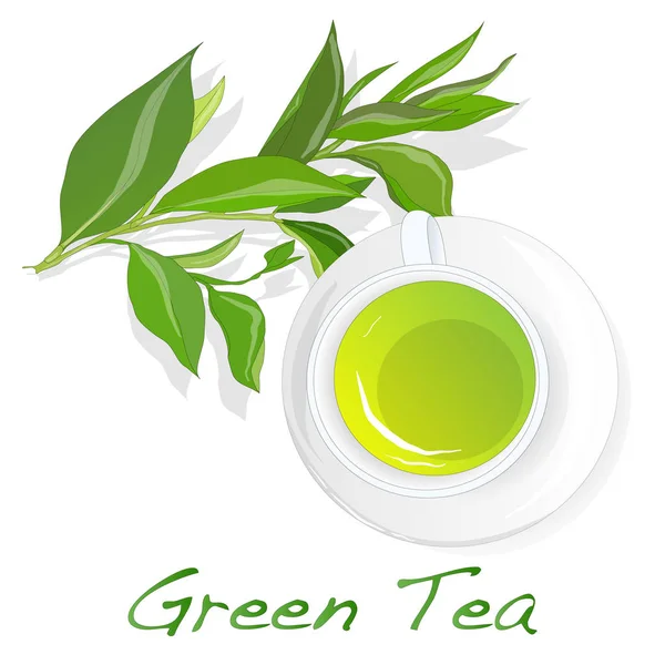 Taza de té verde con hojas de té — Vector de stock