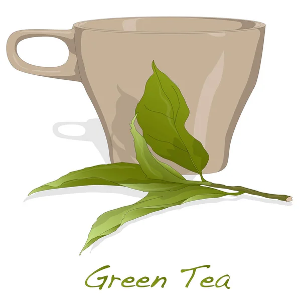 Tasse de thé vert frais — Image vectorielle