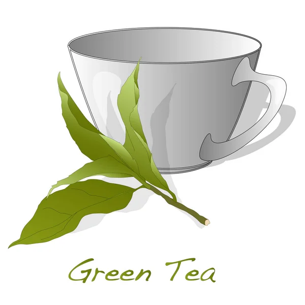 Vecteur feuille de thé vert — Image vectorielle