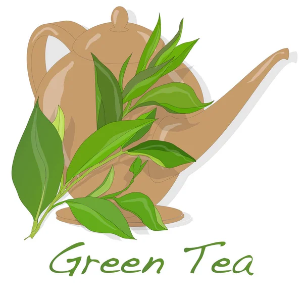 Vecteur feuille de thé vert — Image vectorielle