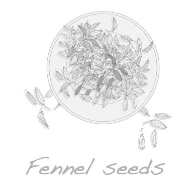 rezene tohumu beyaz zemin üzerine