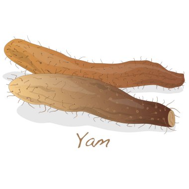 yam isolated on white background clipart