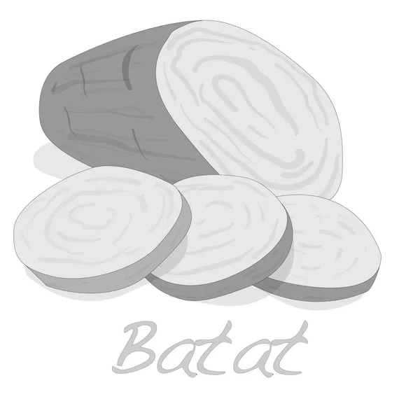 Batat, 고구마 벡터 — 스톡 벡터