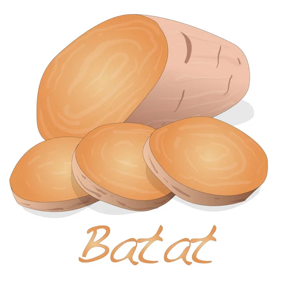Batat, sweet potato vector — Stock Vector