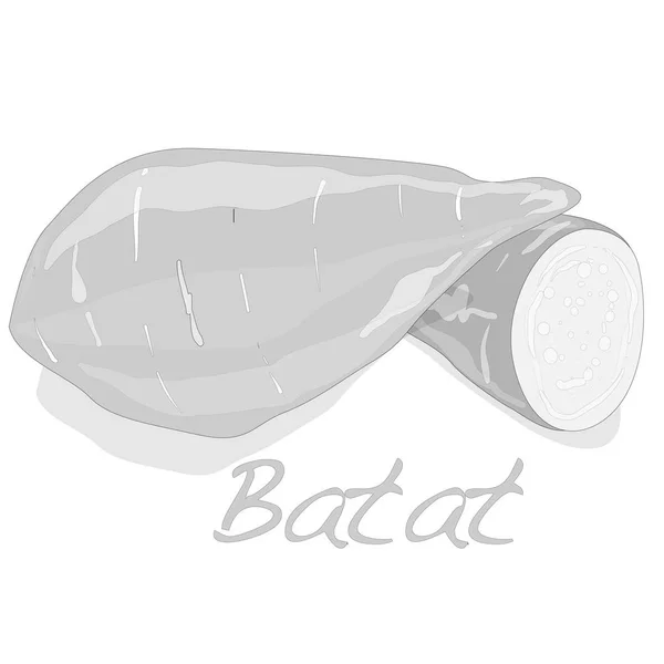 Batat、サツマイモのベクトル — ストックベクタ