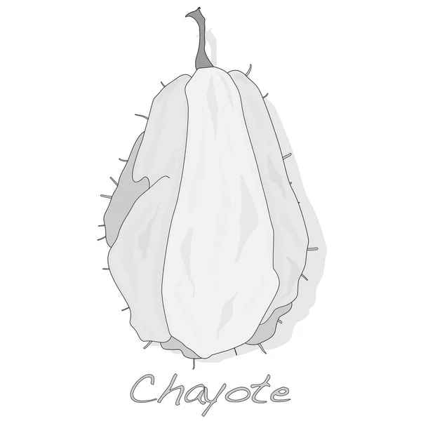 Chayote на белом фоне — стоковый вектор