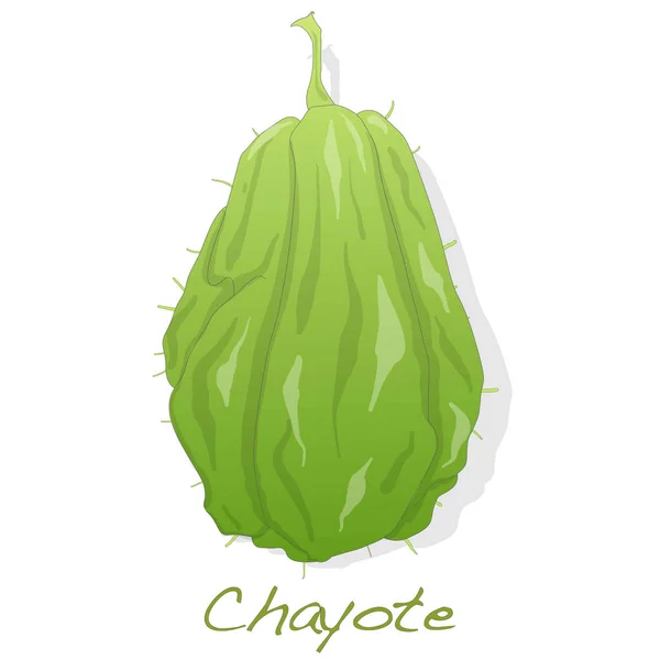 Chayote sobre fondo blanco — Vector de stock