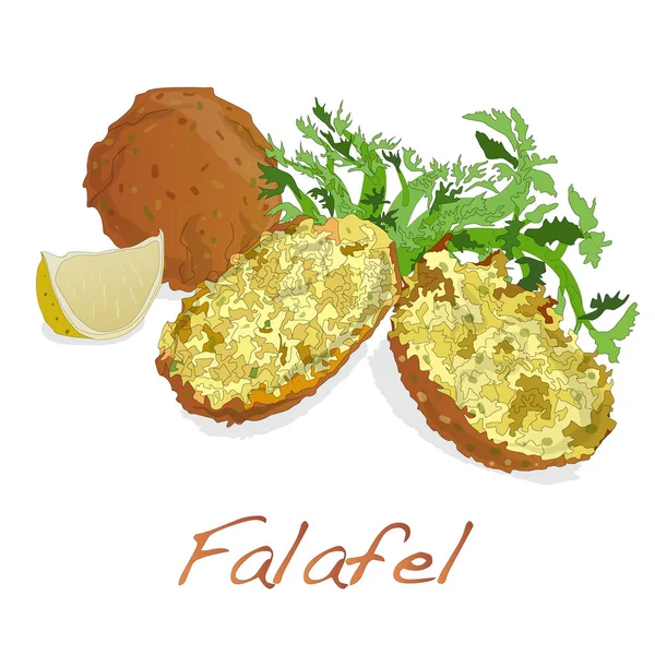 Bolas de falafel isoladas em um fundo branco — Vetor de Stock