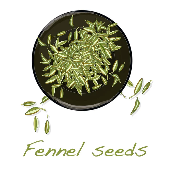 Fennel seeds on white background — Stock Vector