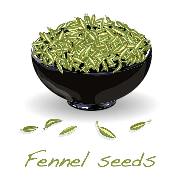 Fennel seeds on white background — Stock Vector