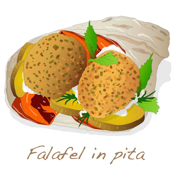 Falafel im Pita-Vektor — Stockvektor