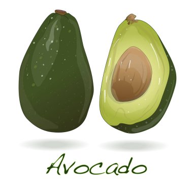 Avokado beyaz üzerine izole