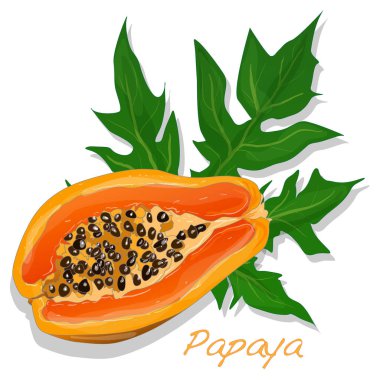 taze ve lezzetli papaya
