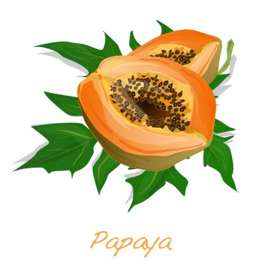 taze ve lezzetli papaya