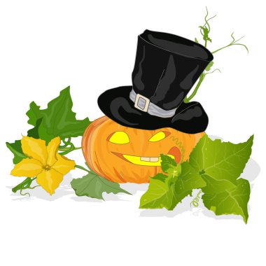 Kabak illüstrasyon izole beyaz.