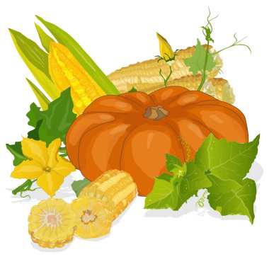 Kabaklar ve Mısır ile Mevsimlik arka plan