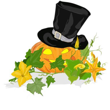 Kabak illüstrasyon izole beyaz. 