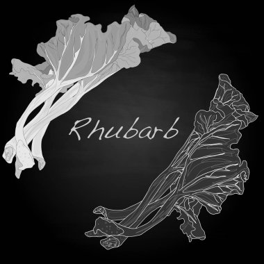 Ravent illüstrasyon izole beyaz. 