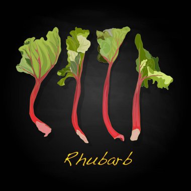 Ravent illüstrasyon izole beyaz. 