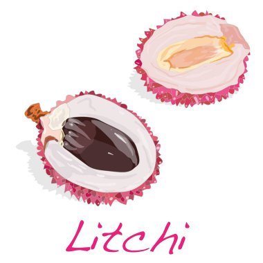 Lychee izole. illüstrasyon izole beyaz. 