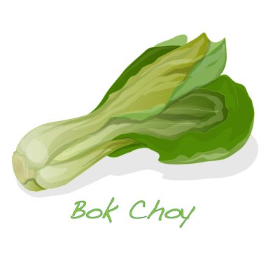 Bok choy sebze illüstrasyon izole beyaz. 