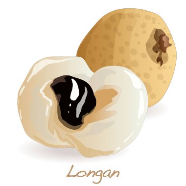 Longan illüstrasyon izole beyaz. 