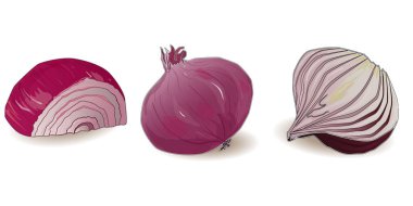 soğan üzerinde beyaz izole illüstrasyon izole. 