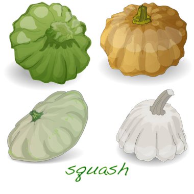 Beyaz illüstrasyon izole taraklı muhallebi squash. 