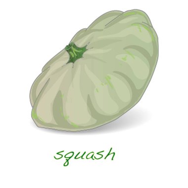 Beyaz illüstrasyon izole taraklı muhallebi squash. 