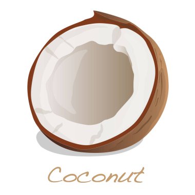 Hindistan cevizi illüstrasyon izole kesmek.