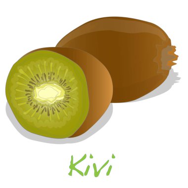 Kivi illüstrasyon illüstrasyon izole.