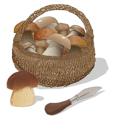 Mantar sepeti. İllüstrasyon izole.