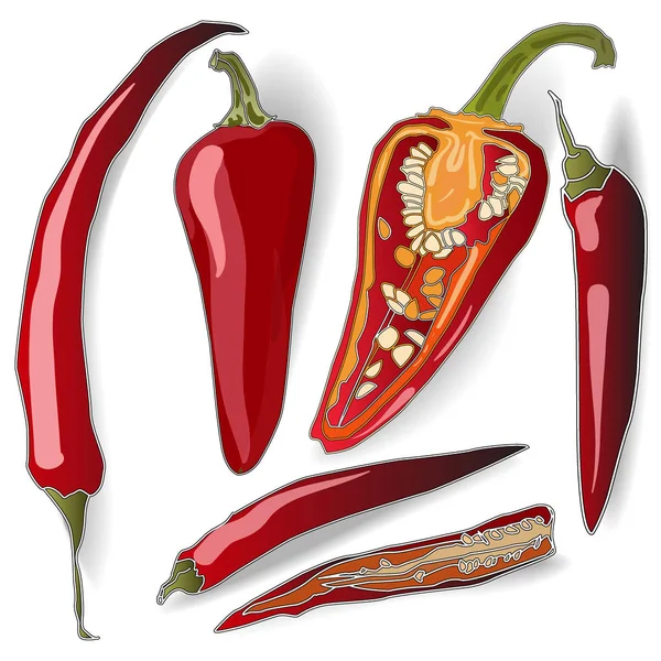 Chilli pepper isolated on white background — Stock Photo, Image