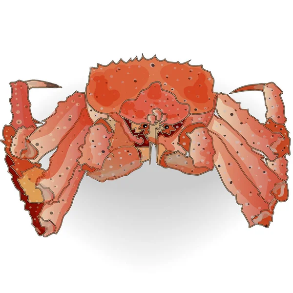 Krabba isolerad på vit bakgrund — Stockfoto