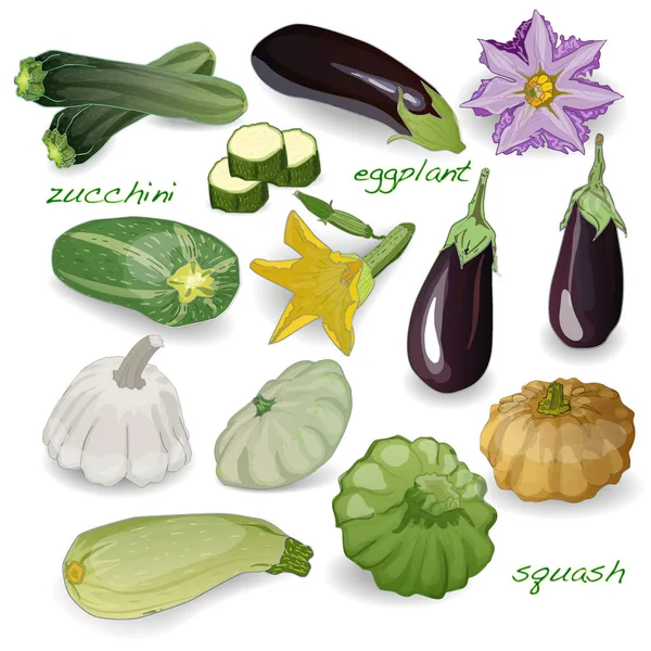 Grönsaker som illustration isolerade på vit. — Stockfoto