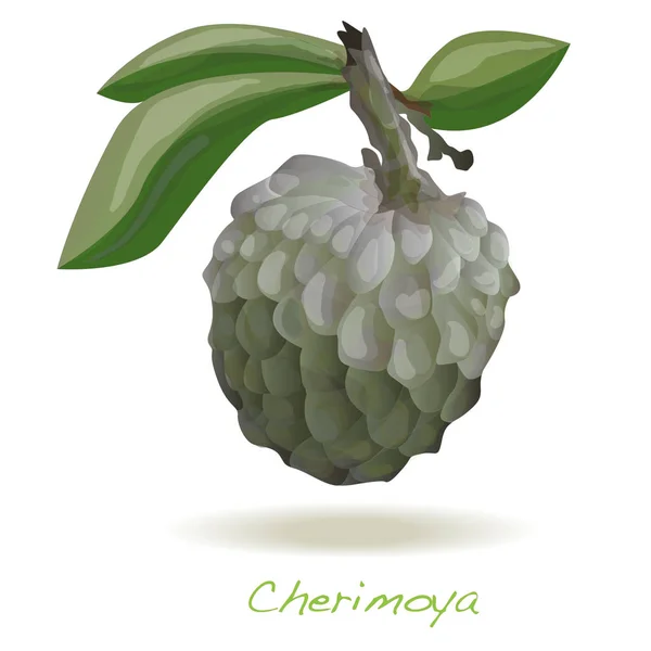 Puddingapfel oder Cherimoya Illustration isoliert auf weiß. — Stockfoto