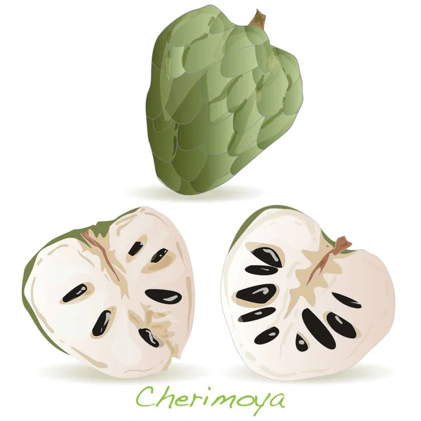 Custardappel of cherimoya illustratie geïsoleerd op wit. — Stockfoto