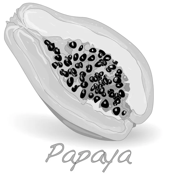 Vers en smakelijk papaya — Stockfoto