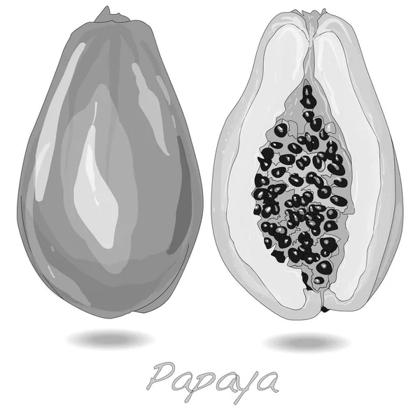 Vers en smakelijk papaya — Stockfoto