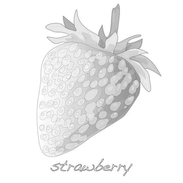 Illustration de fraise de baies isolée sur blanc . — Photo