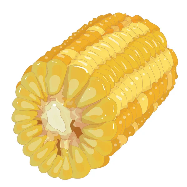 Kukurydza na jądrach cob na białym tle — Zdjęcie stockowe