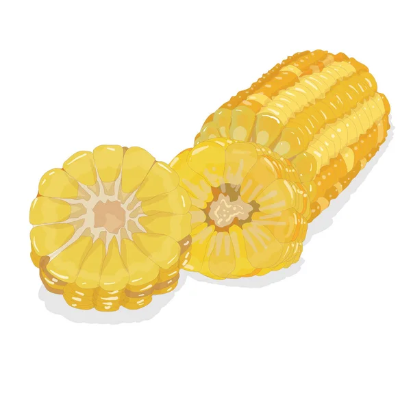 Corn on the cob kernels isolated — Stock Photo, Image