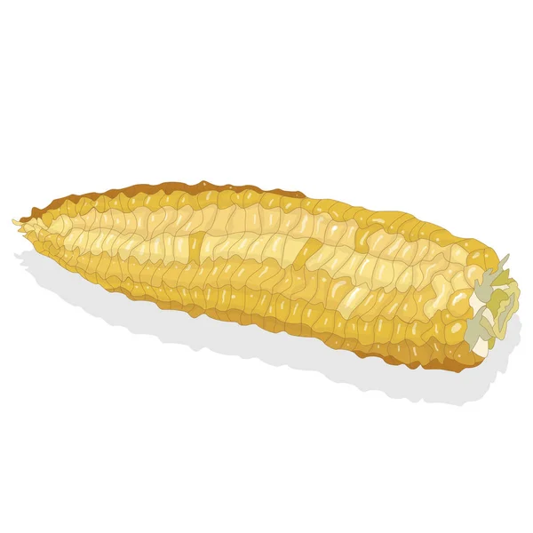 Corn on the cob kernels — Stock Photo, Image