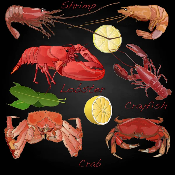 Ilustración de alimentos marinos aislados . — Foto de Stock