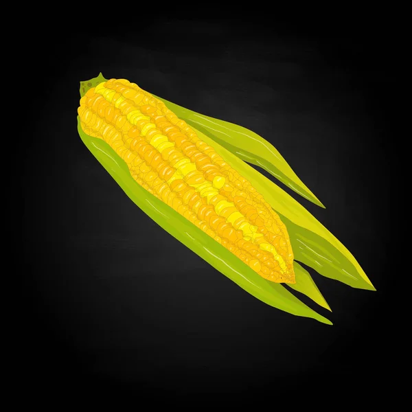 Mais auf den Maiskolben — Stockfoto