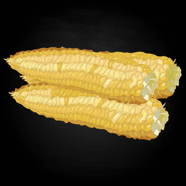 Кукуруза на зернах початков — стоковое фото