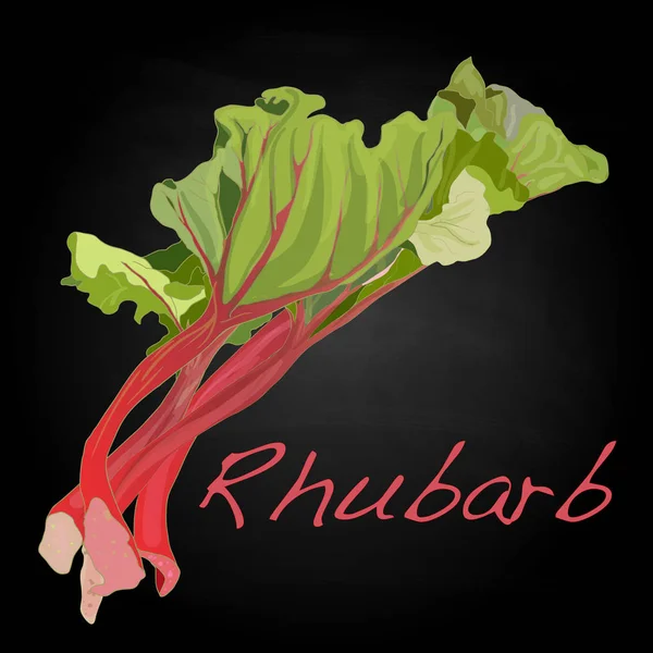 Ілюстрація Rhubarb ізольована на білому . — стокове фото