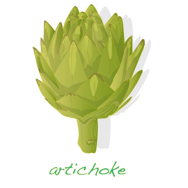 Ilustración de alcachofa aislada en blanco . — Foto de Stock