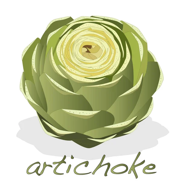 Artischocke Illustration isoliert auf weiß. — Stockfoto