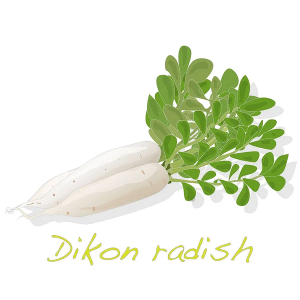 White radish. Dikon.  illustration isolated on white. — Stock Photo, Image